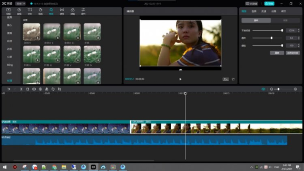capcut pro (2)